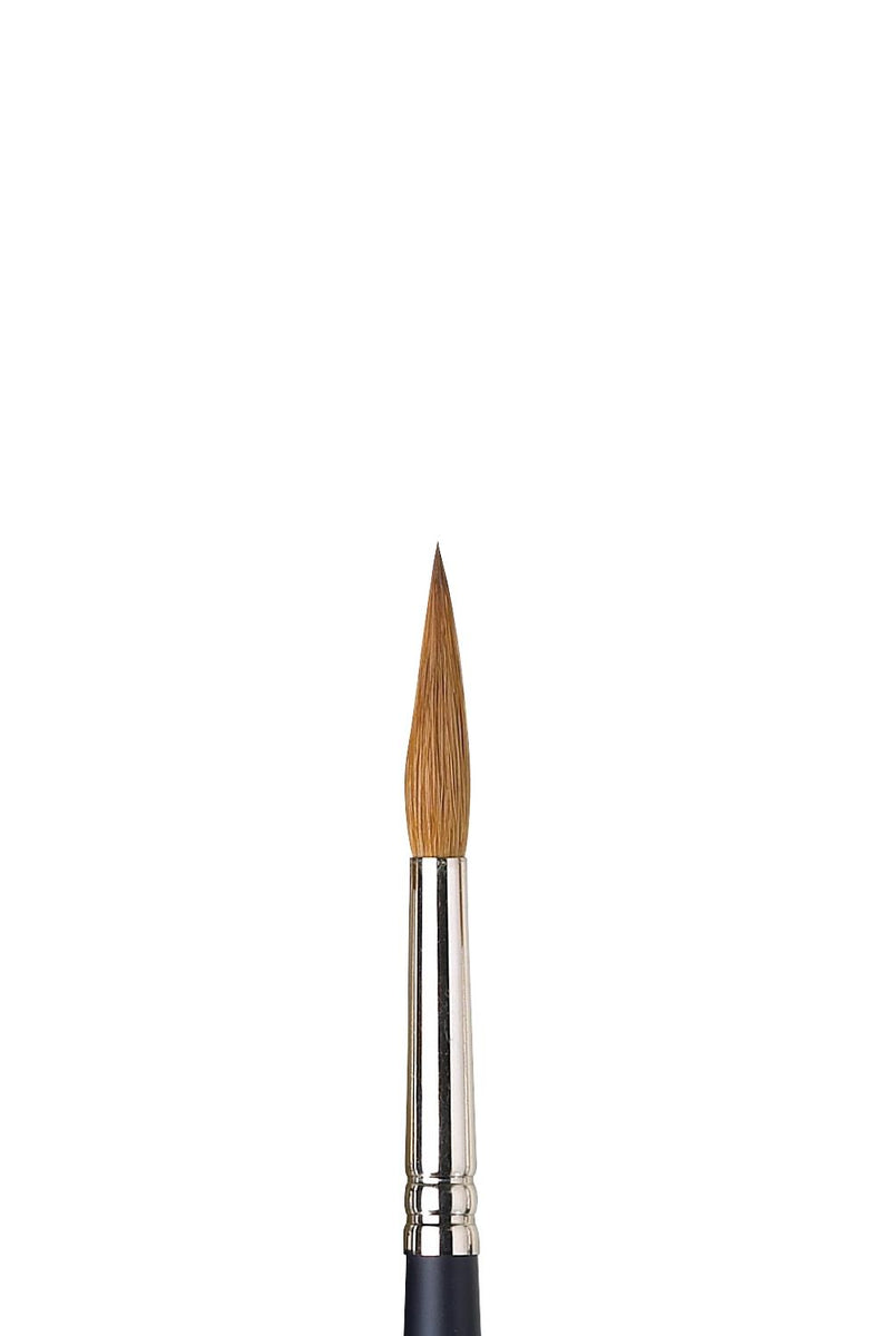 Winsor & Newton Artists' Watercolour Sable Brush (Pointed Round)