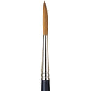 Winsor & Newton Artists' Watercolour Sable Brush (Rigger)