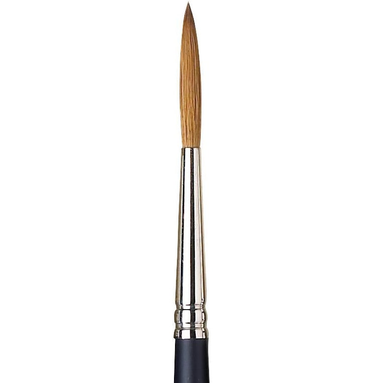 Winsor & Newton Artists' Watercolour Sable Brush (Rigger)