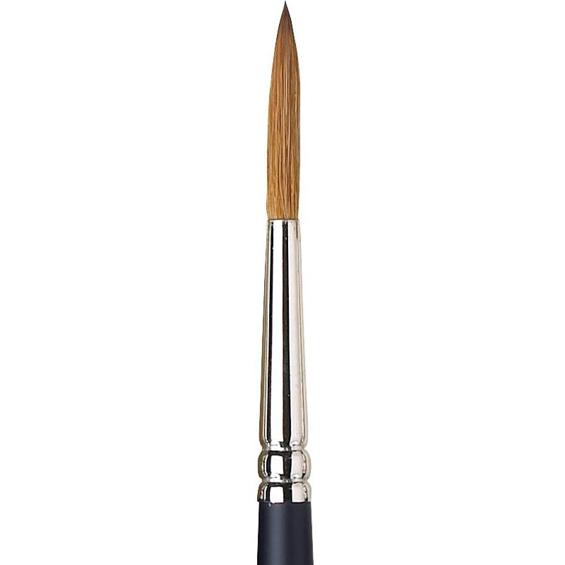 Winsor & Newton Artists' Watercolour Sable Brush (Rigger)