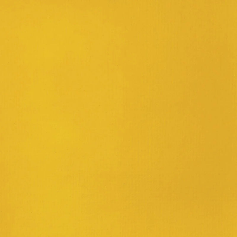 Liquitex Basics Fluid Acrylics 118ml