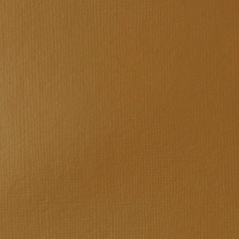 Liquitex Basics Fluid Acrylics 118ml