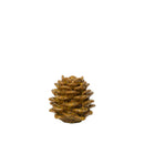 Pina Candle Holder