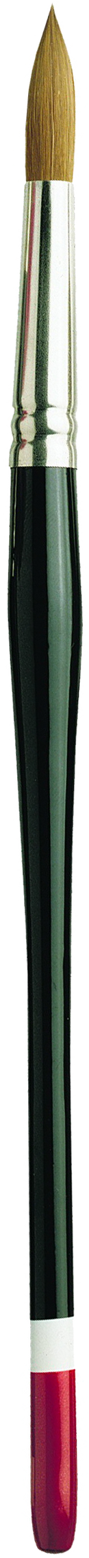 Pro Arte Connoisseur Blended Brush (Series 100)