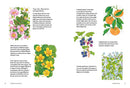 Rewild Your Drawing: How to draw botanicals by Marta Glowack