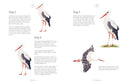 Weekend Art Watercolour - Paint at Your Own Pace by Jola Sopek (PB)