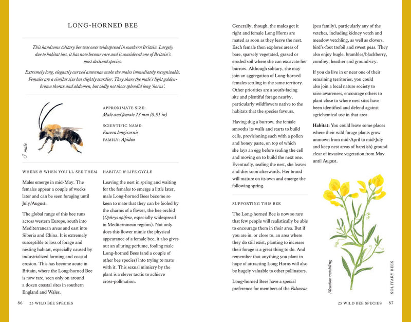 The Wild Bee Handbook by Sarah Wyndham Lewis