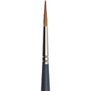 Winsor & Newton Pro Watercolour Brushes Synthetic Sable (Pointed Round)
