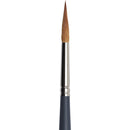 Winsor & Newton Pro Watercolour Brushes Synthetic Sable (Pointed Round)
