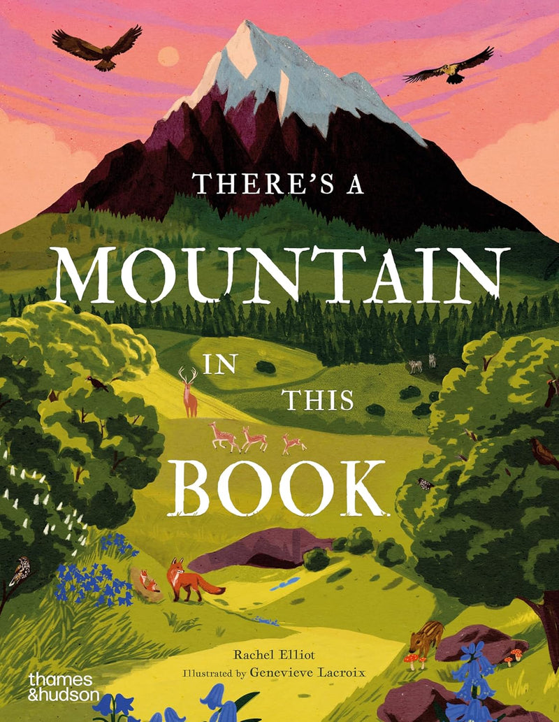 There's a Mountain in This Book: 1 (Young Explorers)