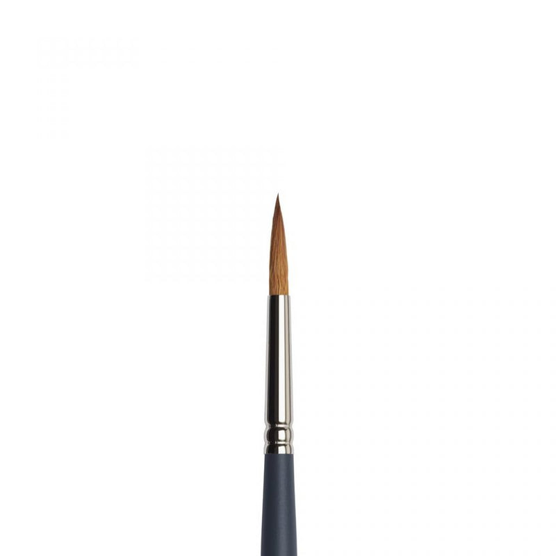 Winsor & Newton Pro Watercolour Brushes Synthetic Sable (Round)