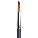 Winsor & Newton Pro Watercolour Brushes Synthetic Sable (Round)