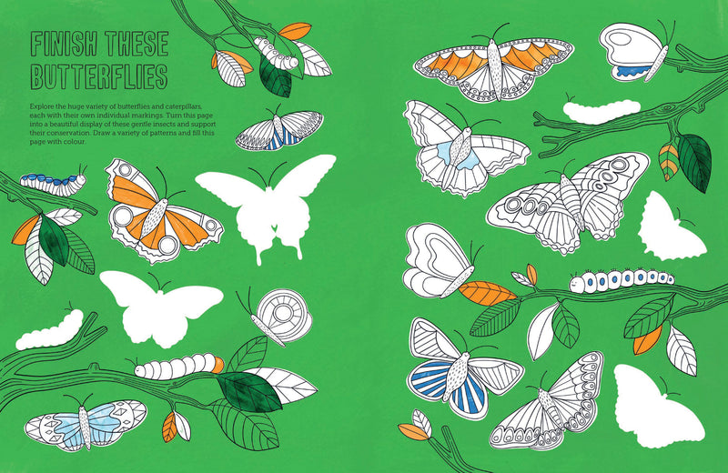 Draw Happy by Tilly (PB)