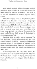 The Private Life of the Hare by John Lewis-Stempel