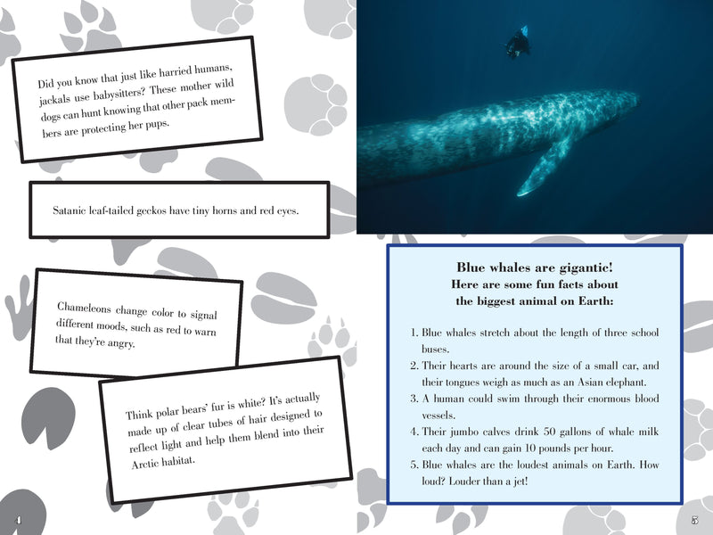 Incredible Book of Outrageous Facts For Kids: Random Information you Need to Know (Paperback) by Nancy Furstinger