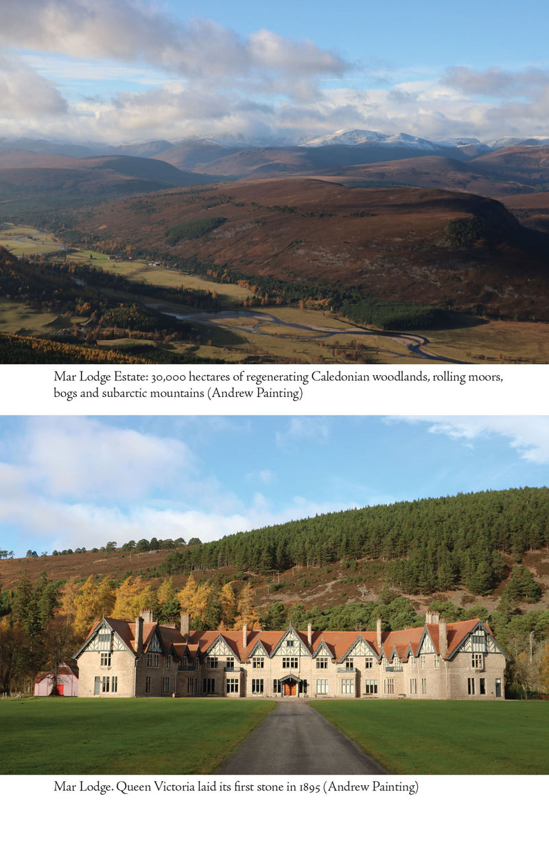 Regeneration: The Rescue of a Wild Land by Andrew Painting