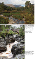 Regeneration: The Rescue of a Wild Land by Andrew Painting