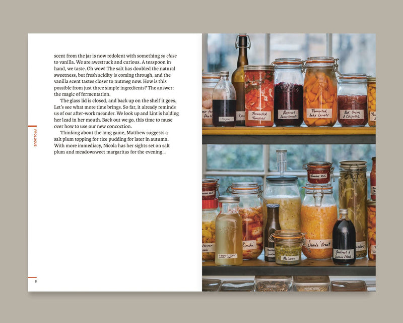 Do Ferment: Gut boosters and foods that fizz