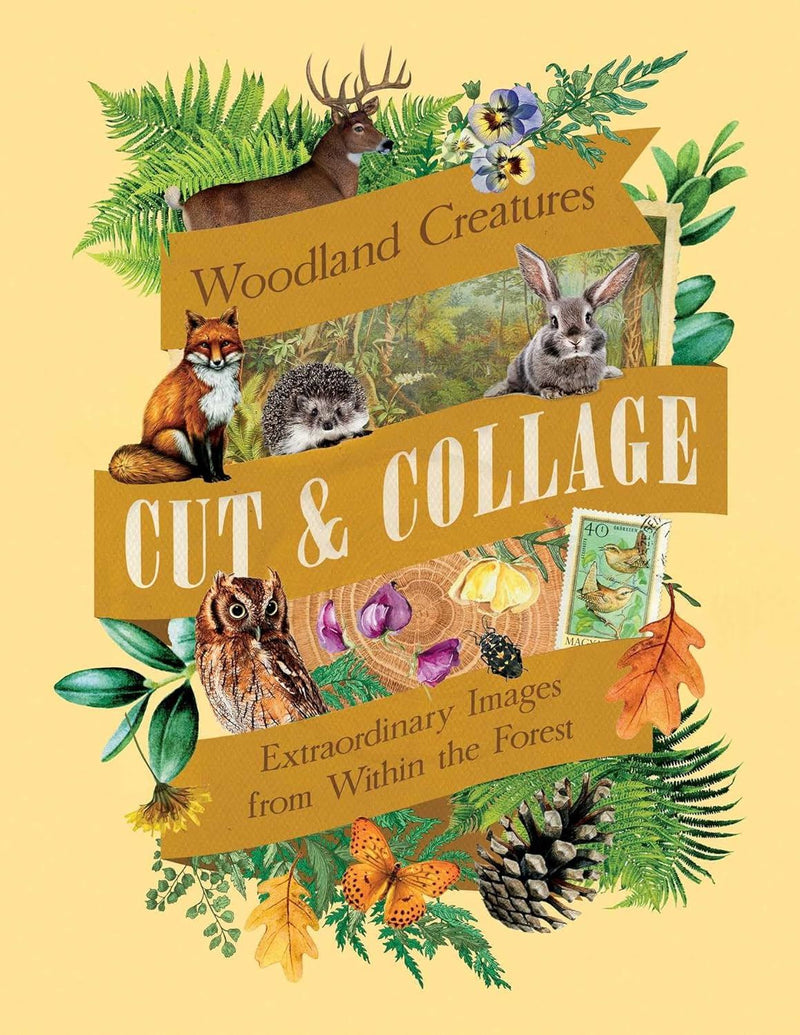 Cut And Collage Woodland Creatures (PB)