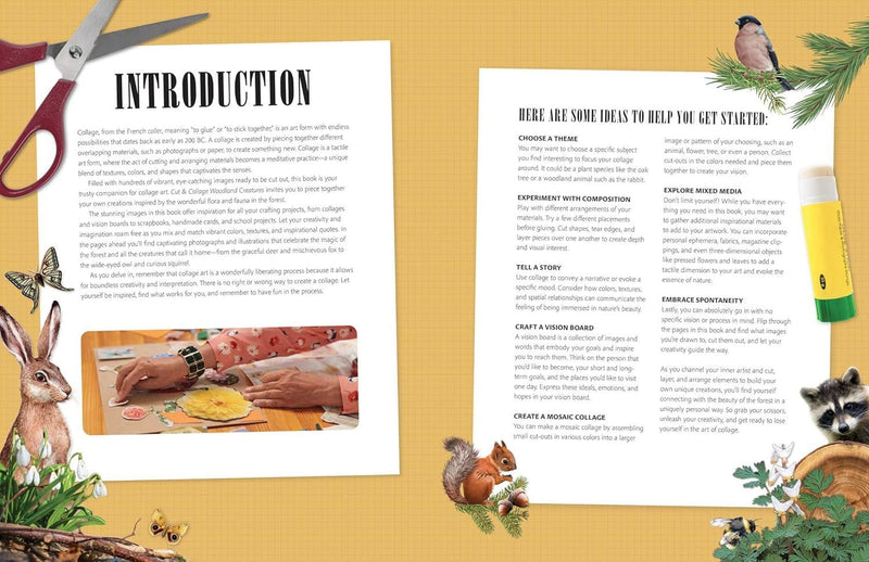 Cut And Collage Woodland Creatures (PB)