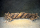 An Insolent Piece of Rope - Original Artwork by Linda Ryle