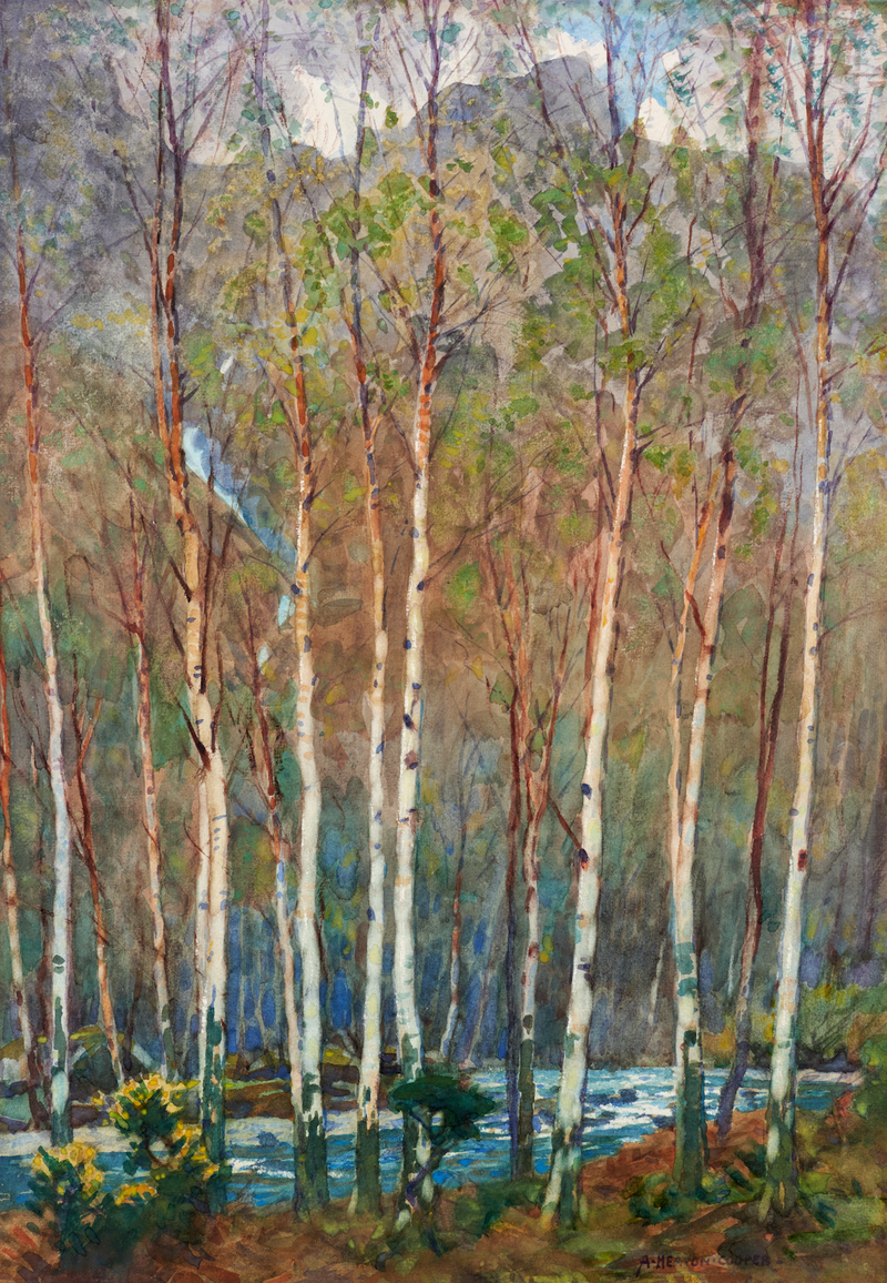 Borrowdale Birches in Early Spring by Alfred Heaton Cooper (1863 - 1929)