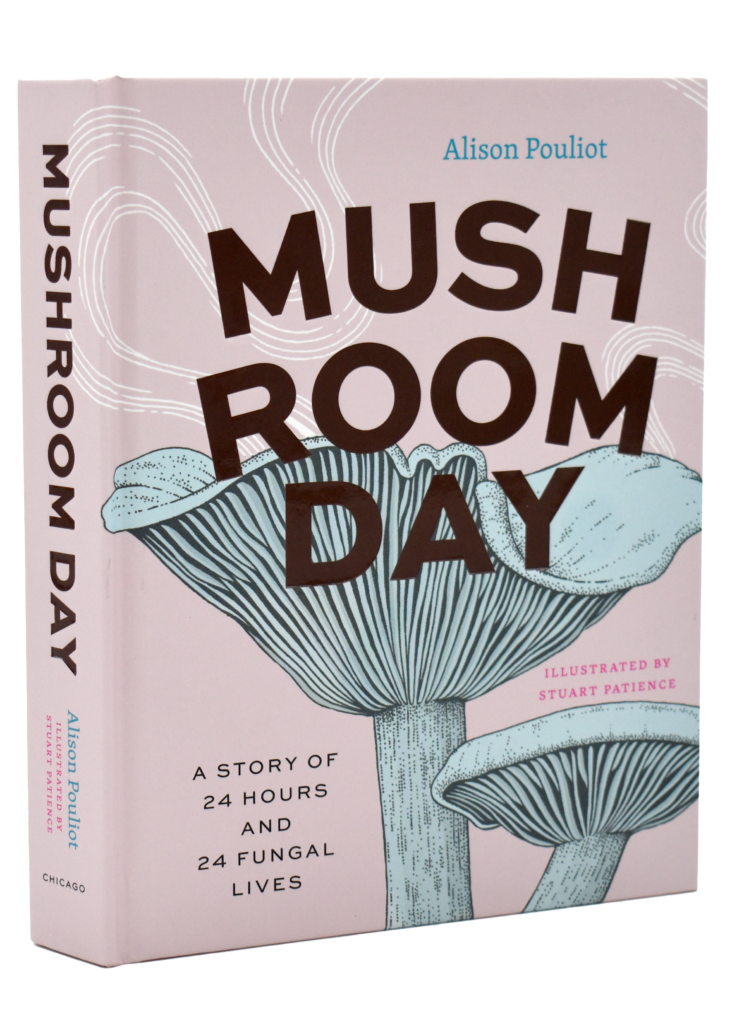 Mushroom Day By Pouliot