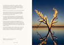Fire: Why we are Drawn to the Flame (Hardback) by Richard Skrein