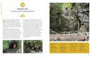 Wild Rock: 100 Best Easy Scrambling Adventures/Britain by Matt Heason