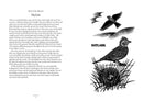 A Year In Nature by Lia Leendertz (HB)