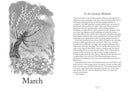 A Year In Nature by Lia Leendertz (HB)