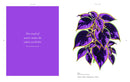 Folium interior spread 1
