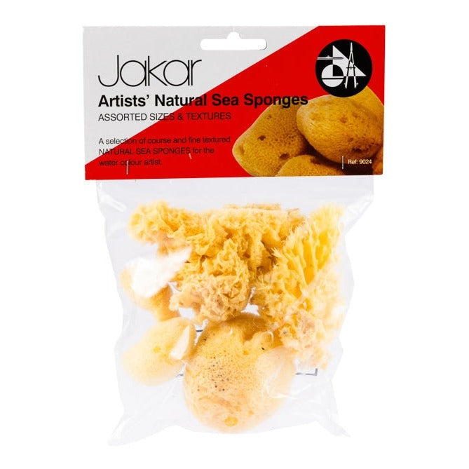 Natural Sea Sponges