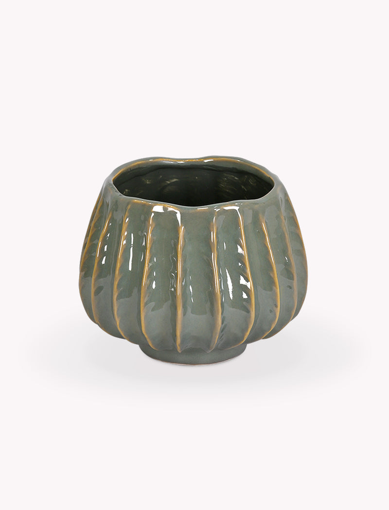 Osmington Pot 14cm Rosemary