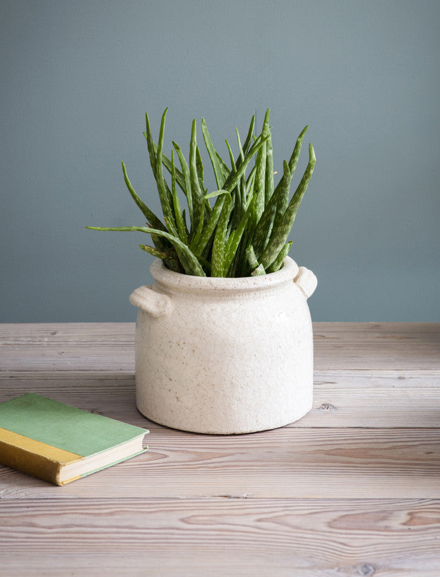 Ravello Pot with Handles White Ceramic