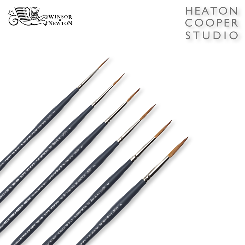 Winsor & Newton Pro Watercolour Brushes Synthetic Sable (Rigger)