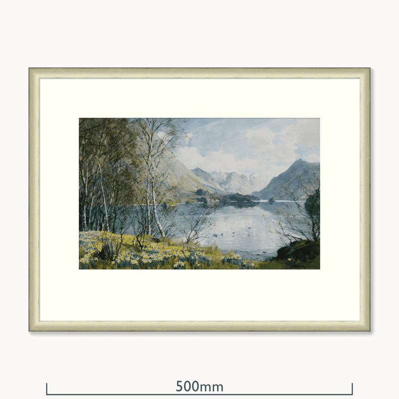 Wild Daffodils, Ullswater by Alfred Heaton Cooper (1863 - 1929)