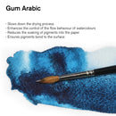 Winsor & Newton Gum Arabic (75ml)