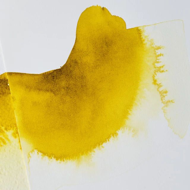 Winsor & Newton Ox Gall Liquid (75ml)