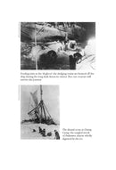 Shackleton's Endurance: An Antarctic Survival Story by Joanna Grochowicz