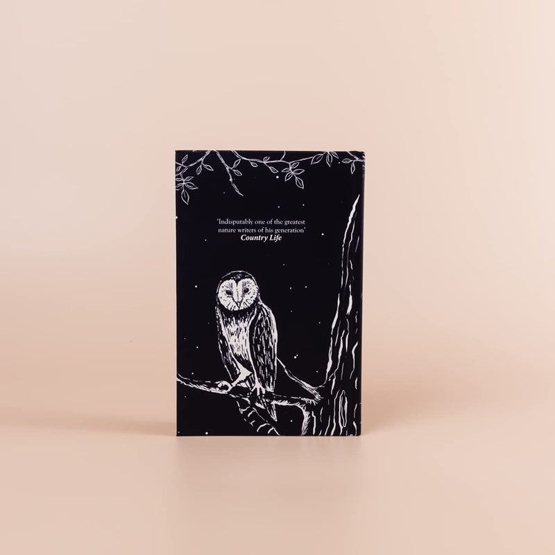 The Secret Life of the Owl by John Lewis-Stempel