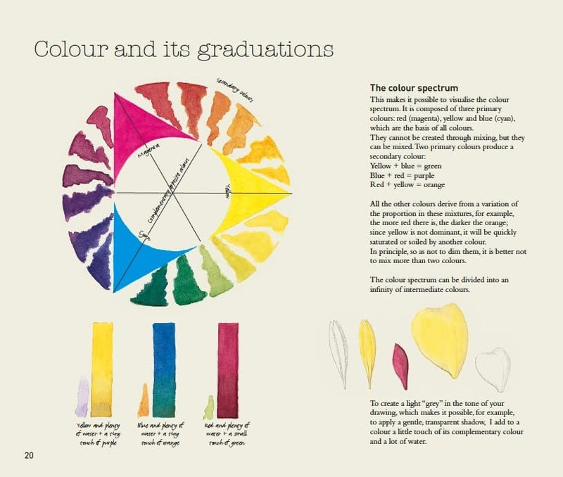 The Art of Botanical Drawing by Agathe Ravet-Haevermans