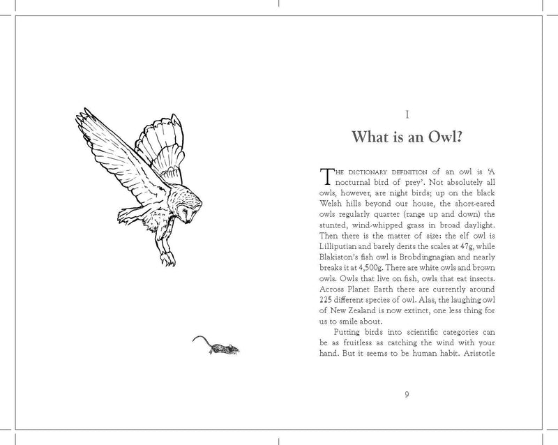 The Secret Life of the Owl by John Lewis-Stempel