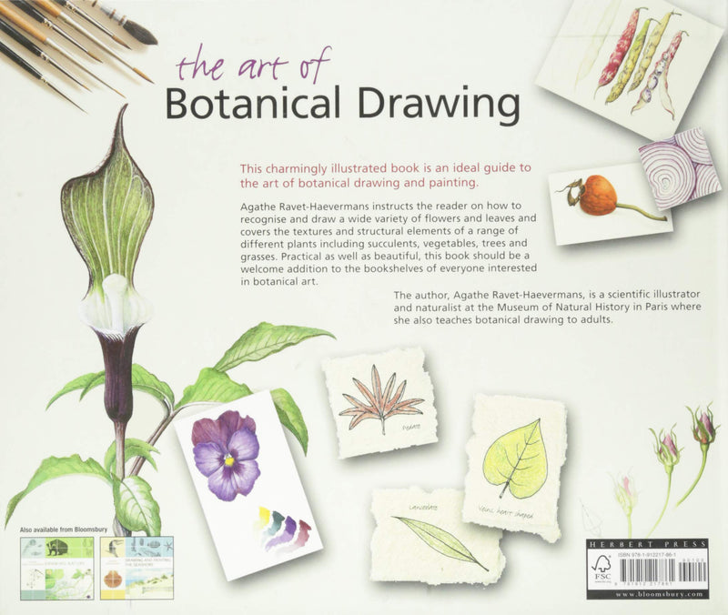 The Art of Botanical Drawing by Agathe Ravet-Haevermans