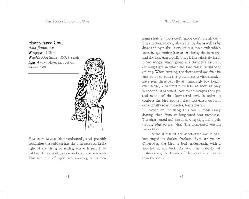 The Secret Life of the Owl by John Lewis-Stempel