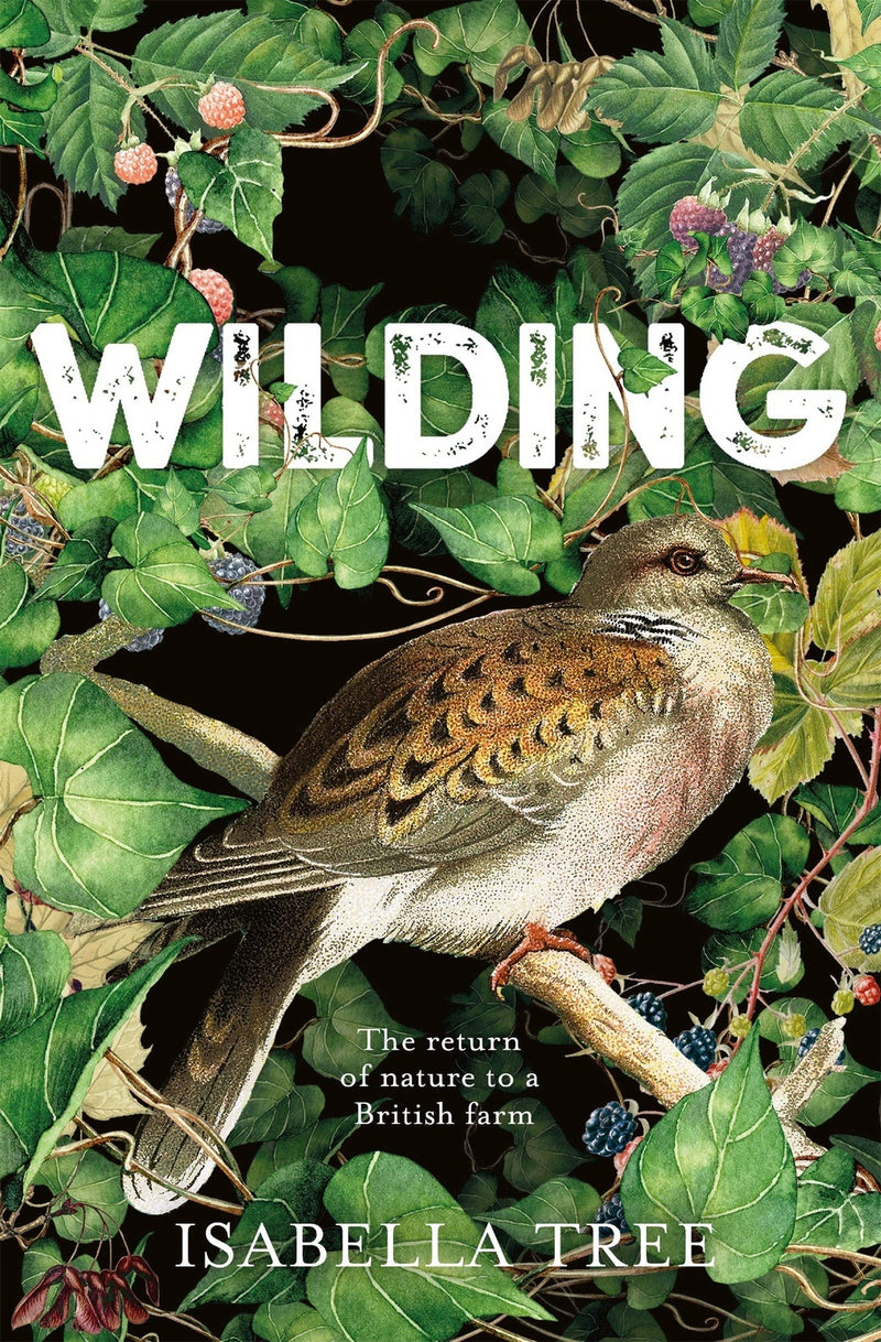 Wilding: The Return of Nature to a British Farm by Isabella Tree
