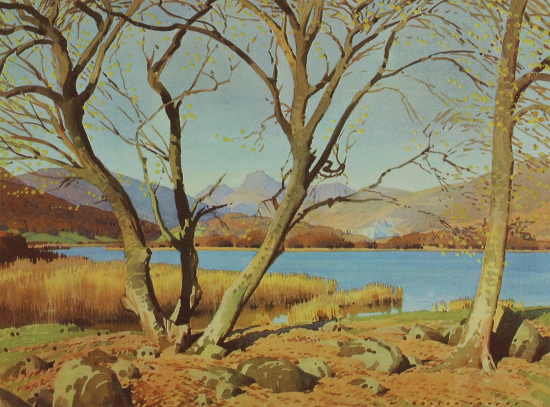 Elterwater by William Heaton Cooper R.I. (1903 - 1995)