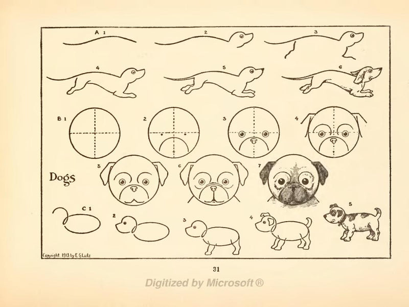 What to Draw and How to Draw it by Charlotte Pepper